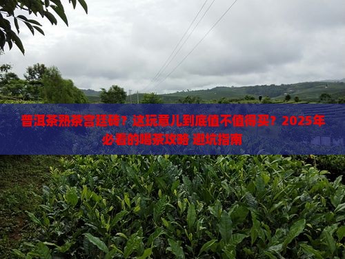 普洱茶熟茶宫廷砖