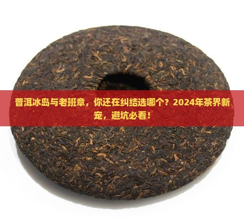 普洱冰岛与老班章