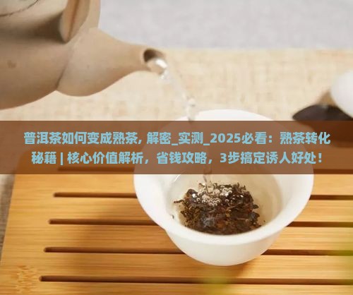 普洱茶如何变成熟茶