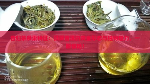昔归茶条索特征