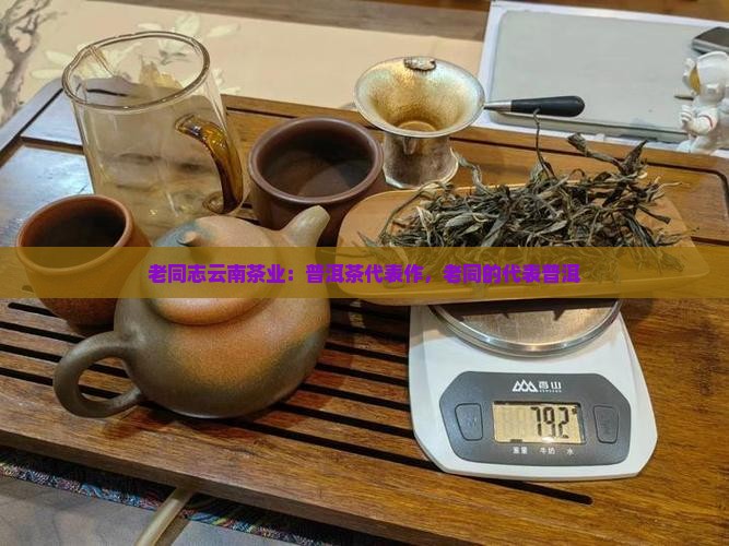 老同志普洱茶代表作