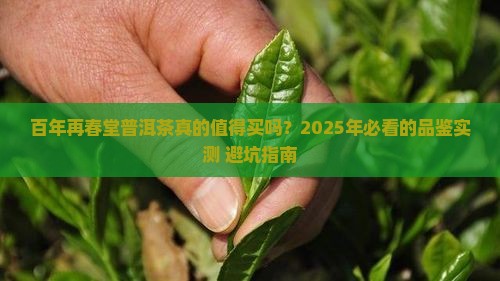 百年再春堂普洱茶怎么样