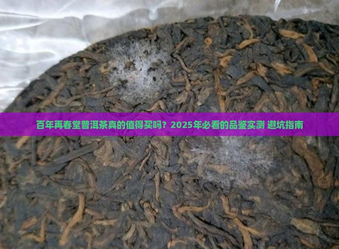 百年再春堂普洱茶怎么样