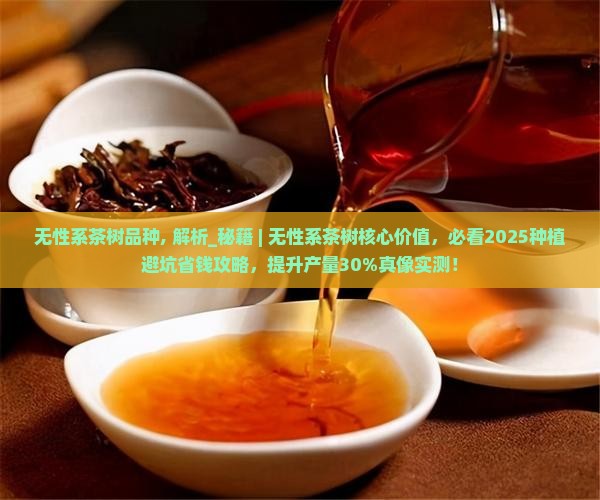 无性系茶树品种