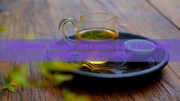 无性系茶树品种