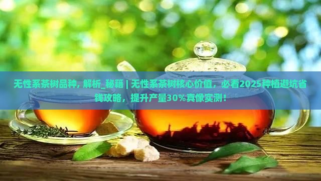 无性系茶树品种