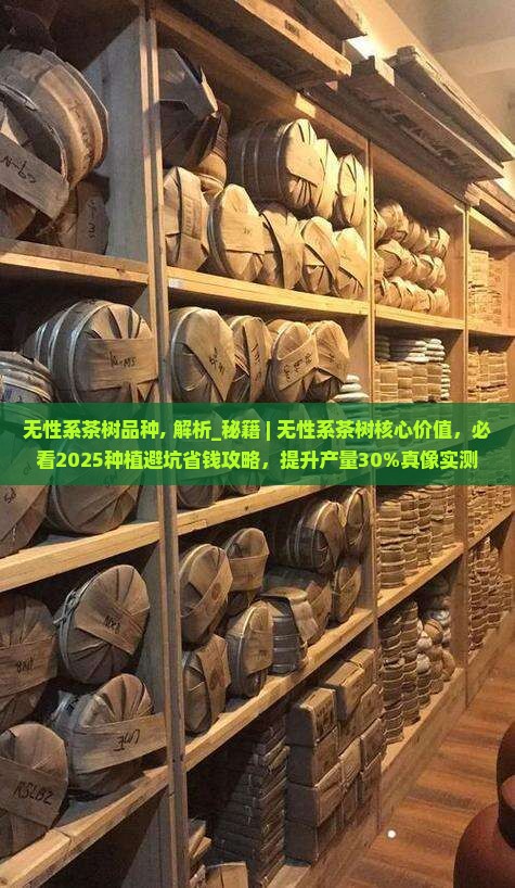 无性系茶树品种