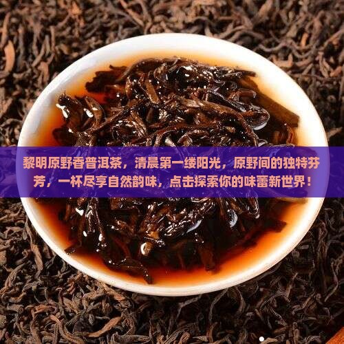 黎明原野香普洱茶