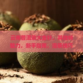 云南普洱茶大金针