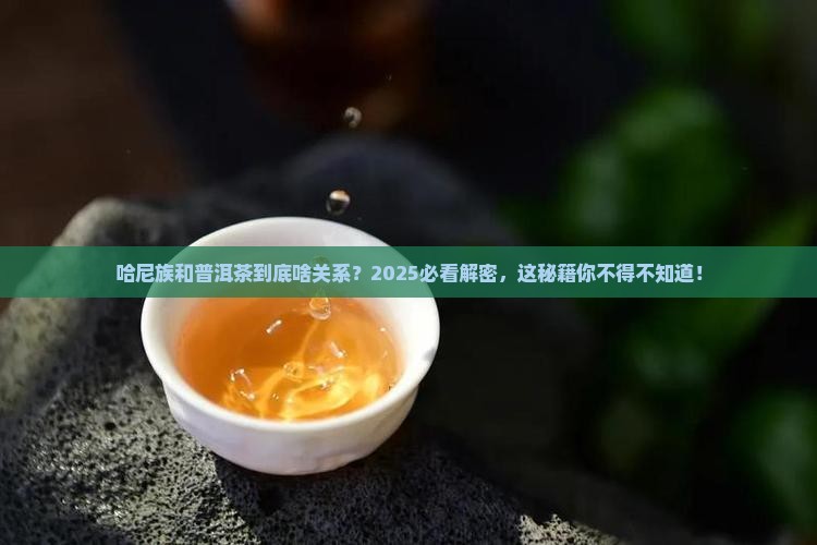 哈尼与普洱茶的关系