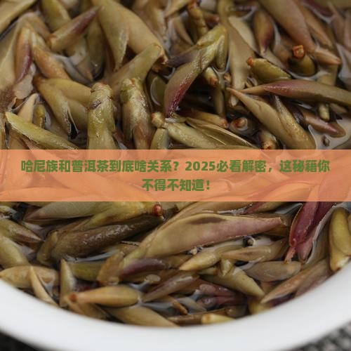 哈尼与普洱茶的关系