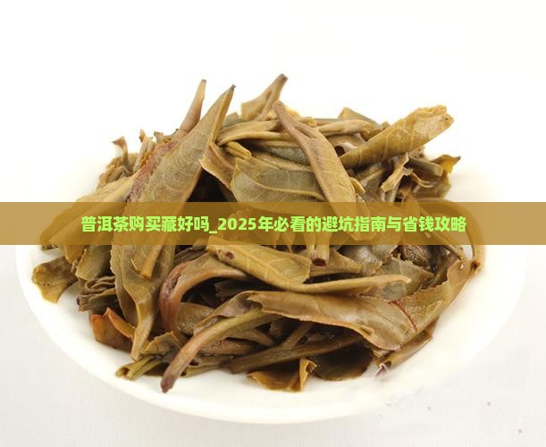 普洱茶购买藏好吗