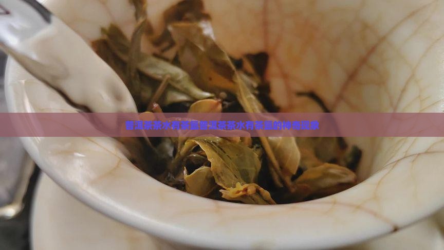 普洱茶茶水有茶氲