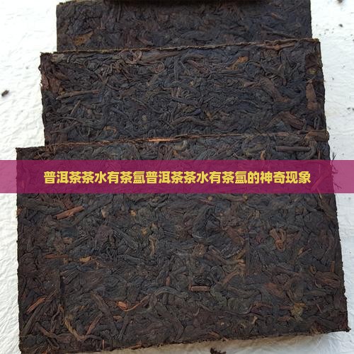 普洱茶茶水有茶氲