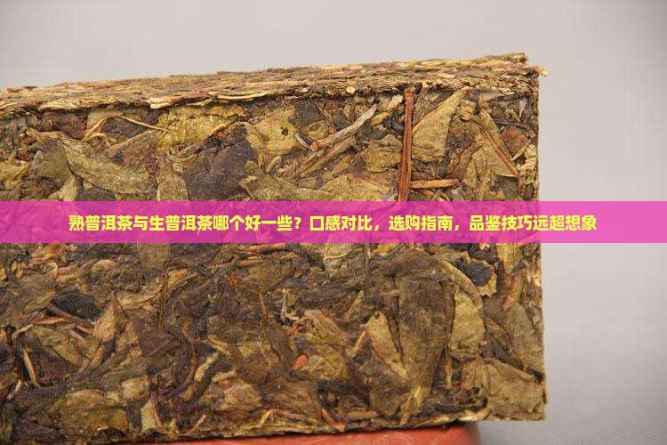 熟普洱茶与生普洱茶哪个好一些