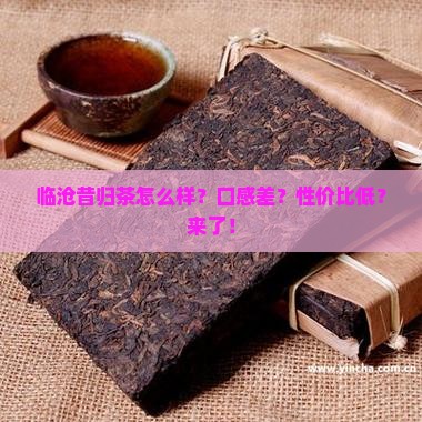 临沧昔归茶怎么样