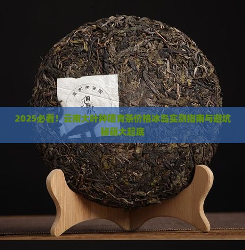 云南大叶种晒青茶价格冰岛