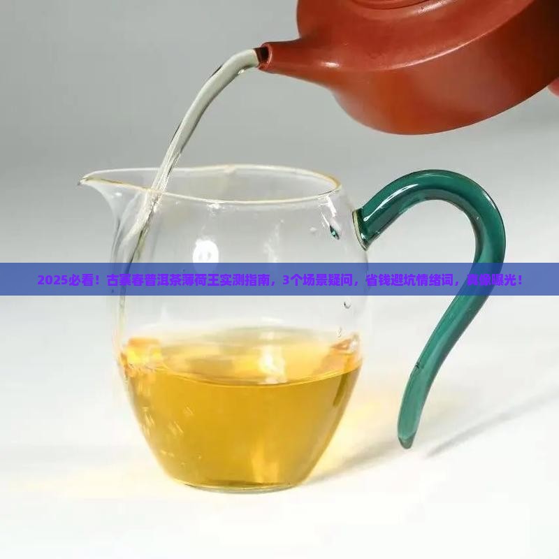 古寨春普洱茶薄荷王