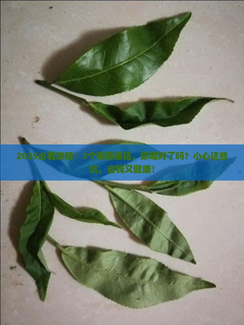 喝茶的功效与作用禁忌
