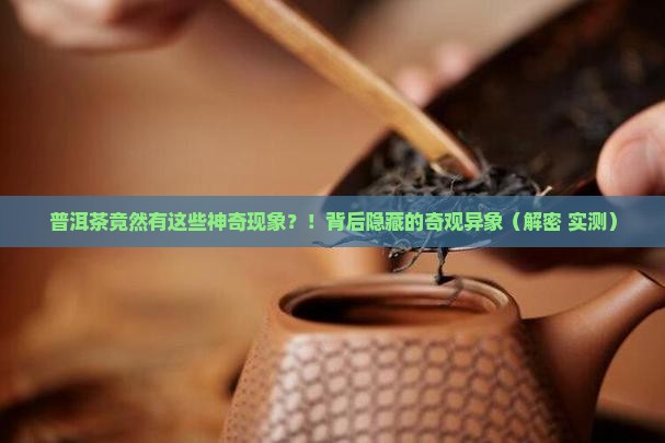 普洱茶的奇观异象