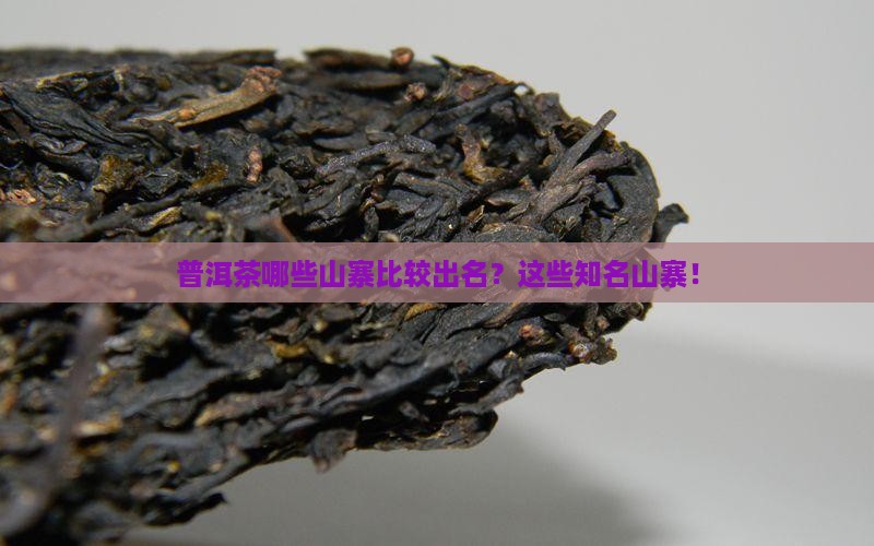 普洱茶哪些山寨比较出名