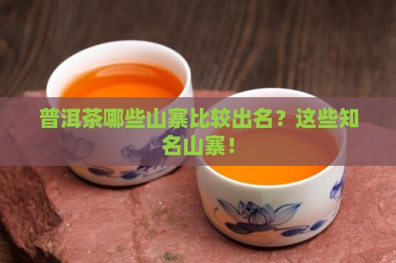 普洱茶哪些山寨比较出名