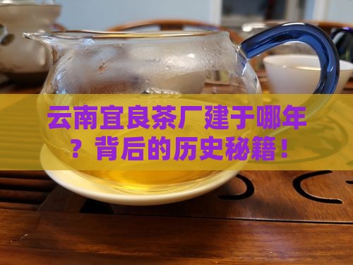 云南宜良茶厂建于哪年