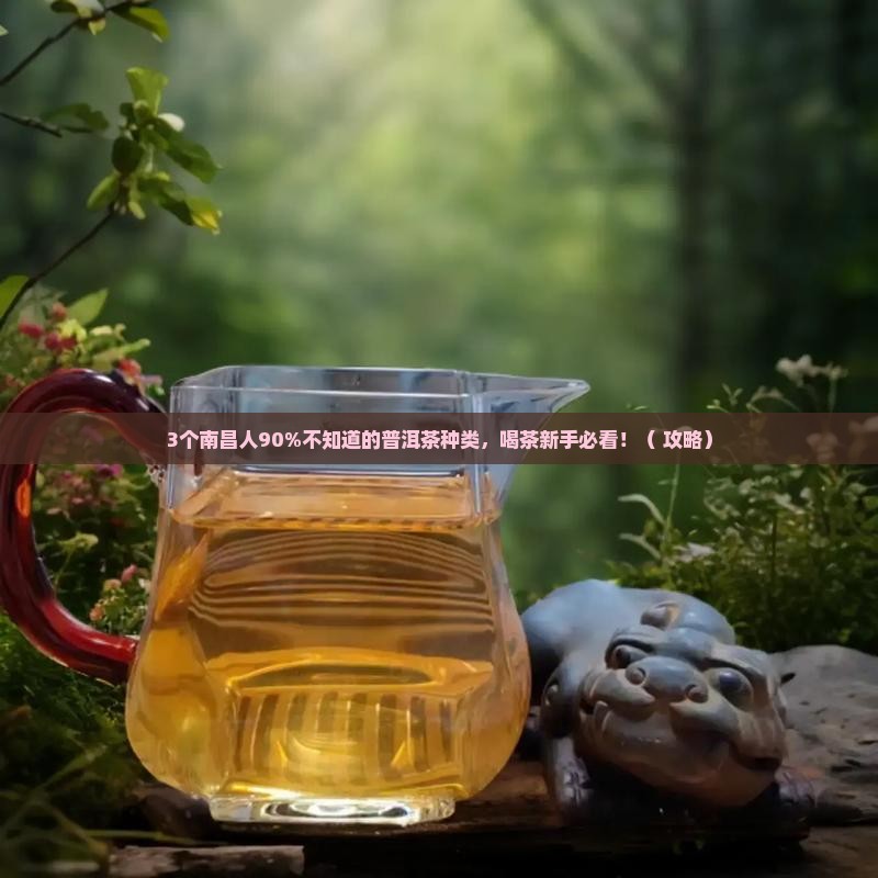 南昌普洱茶种类