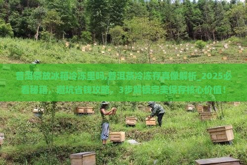 普洱茶放冰箱冷冻里吗