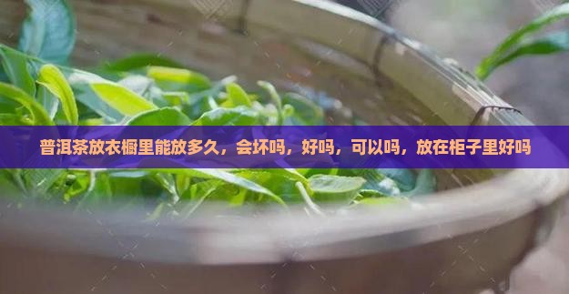普洱茶放衣橱里