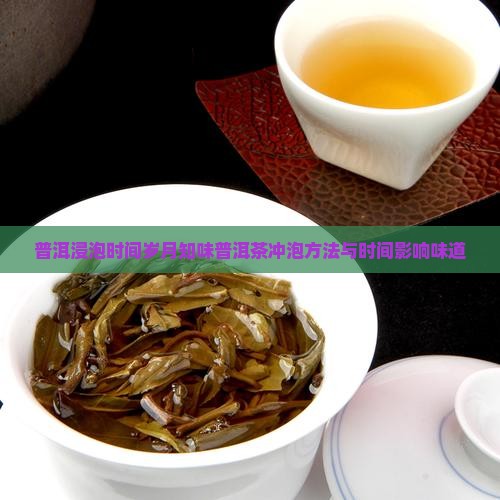 普洱浸泡时间岁月知味普洱茶