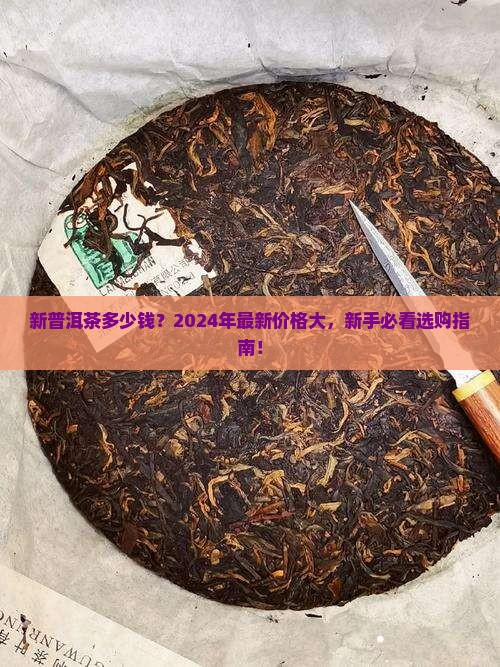 新普洱茶多少钱