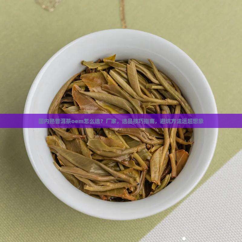 国内熟普洱茶oem