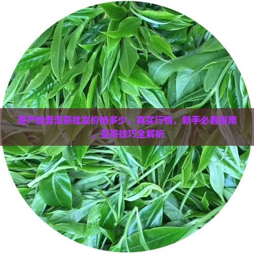 原产地普洱茶批发价格多少