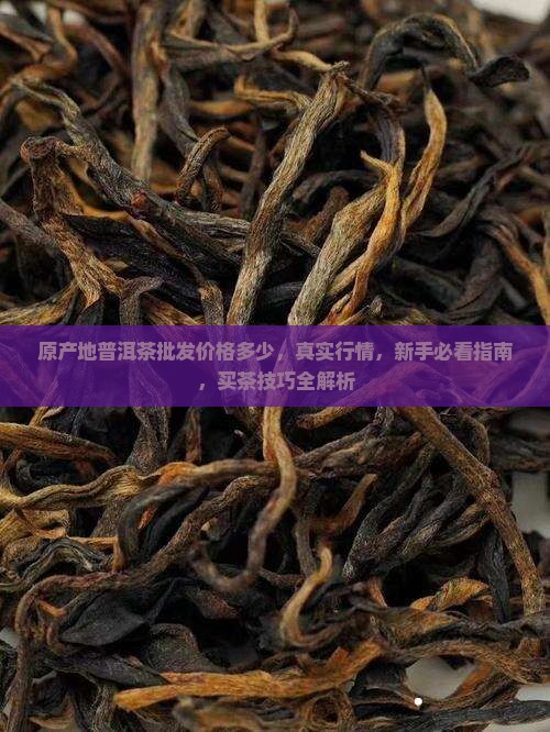 原产地普洱茶批发价格多少