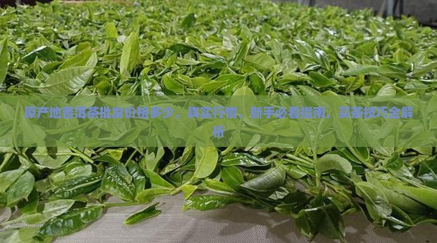 原产地普洱茶批发价格多少