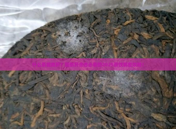 什么茶对脂肪肝最有效