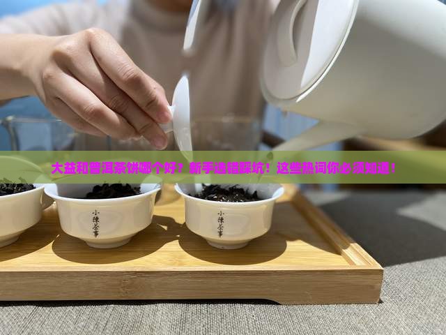 大益和普洱茶饼哪个好