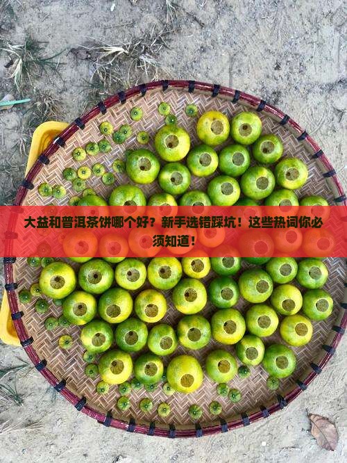 大益和普洱茶饼哪个好