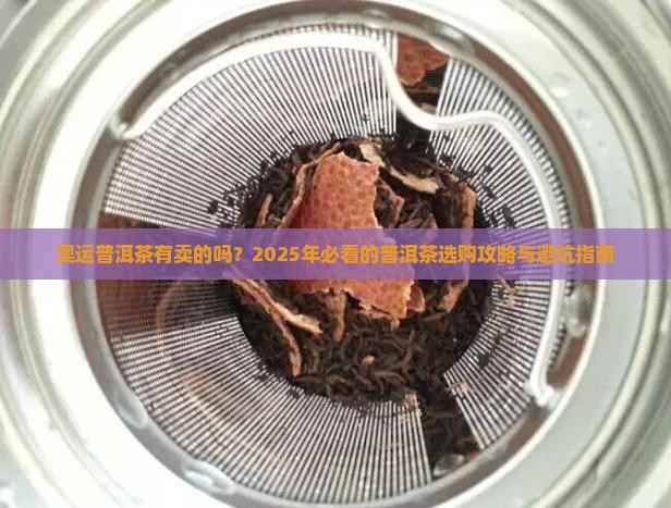 奥运普洱茶有卖的吗