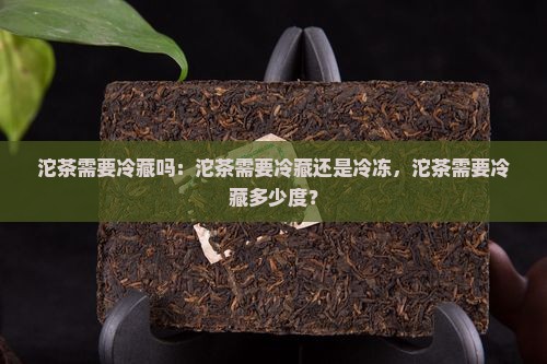 沱茶需要冷藏吗