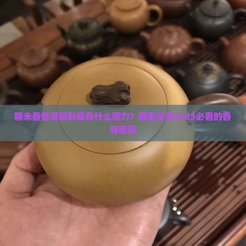 糯米香普洱茶的特征