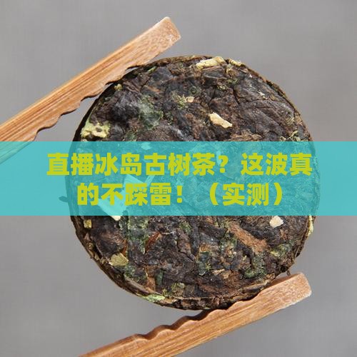 直播冰岛古树茶
