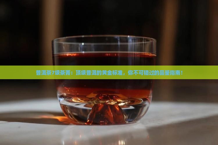 普洱茶7级茶菁