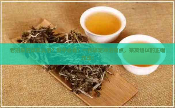 老班章应该怎么泡