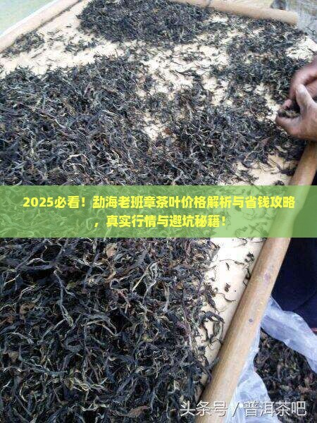 勐海老班章茶叶价格