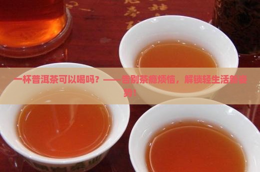 一杯普洱茶可以喝吗