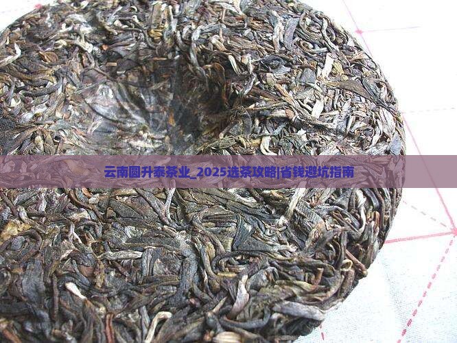 云南圆升泰茶业