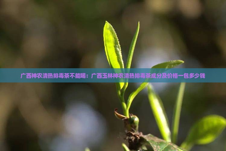 广西神农清热排毒茶不能喝