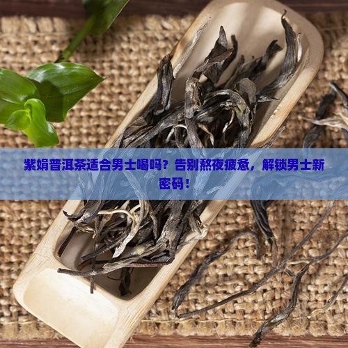 紫娟普洱茶适合男士喝吗